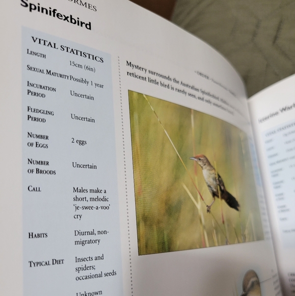 Encyclopedia of BIRDS book contains illustrations and photographs hardcover - Picture 3 of 11